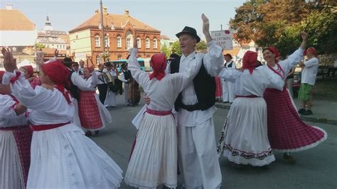 Chicas de Croacia: Belleza, Cultura y Resiliencia